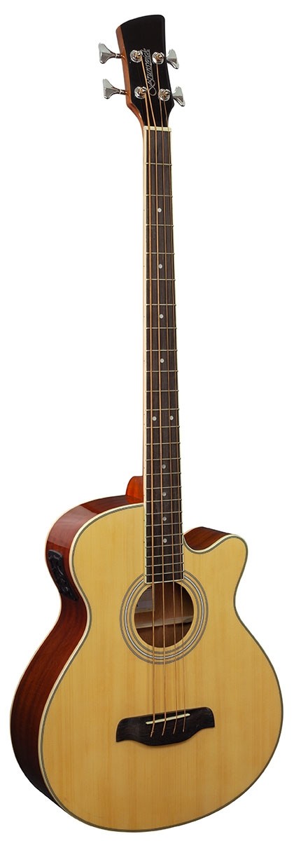 Brunswick on sale acoustic bass