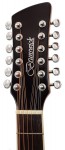 BTK5012M - Advanced Stage Guitar 12 String Electro - Mahogany Gloss