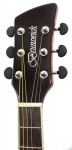 BTK50M - Advanced Stage Guitar - Mahogany Gloss